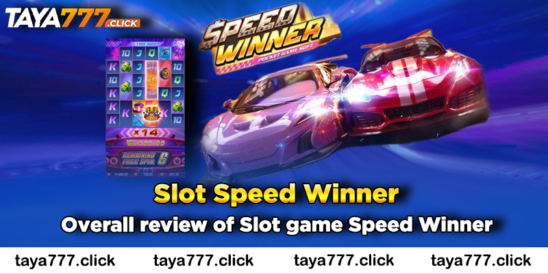 speed-winner-taya777