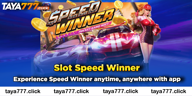 speed-winner-taya777