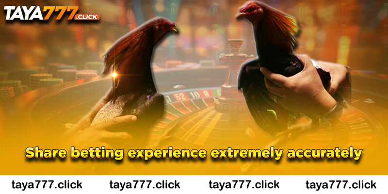 sabong-online-taya777